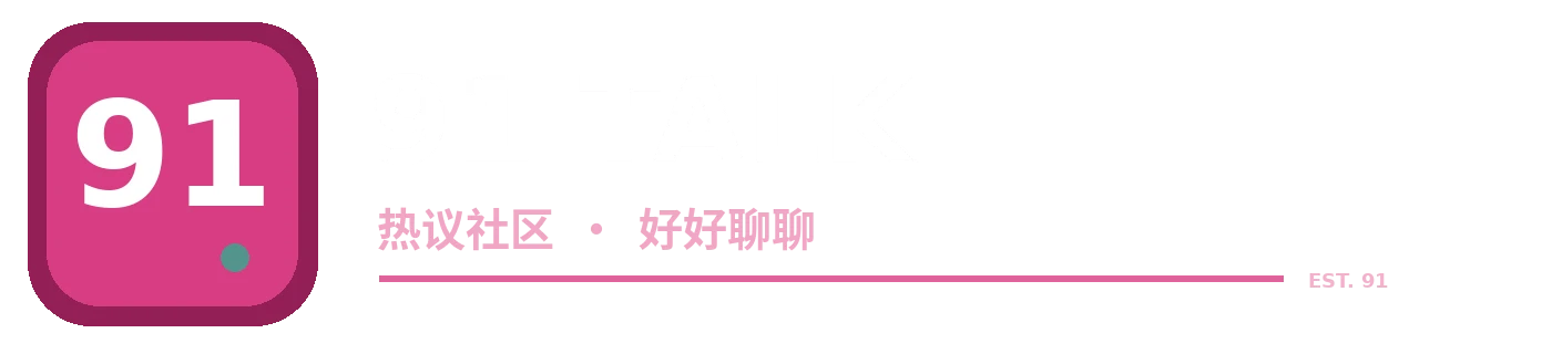 91 网志